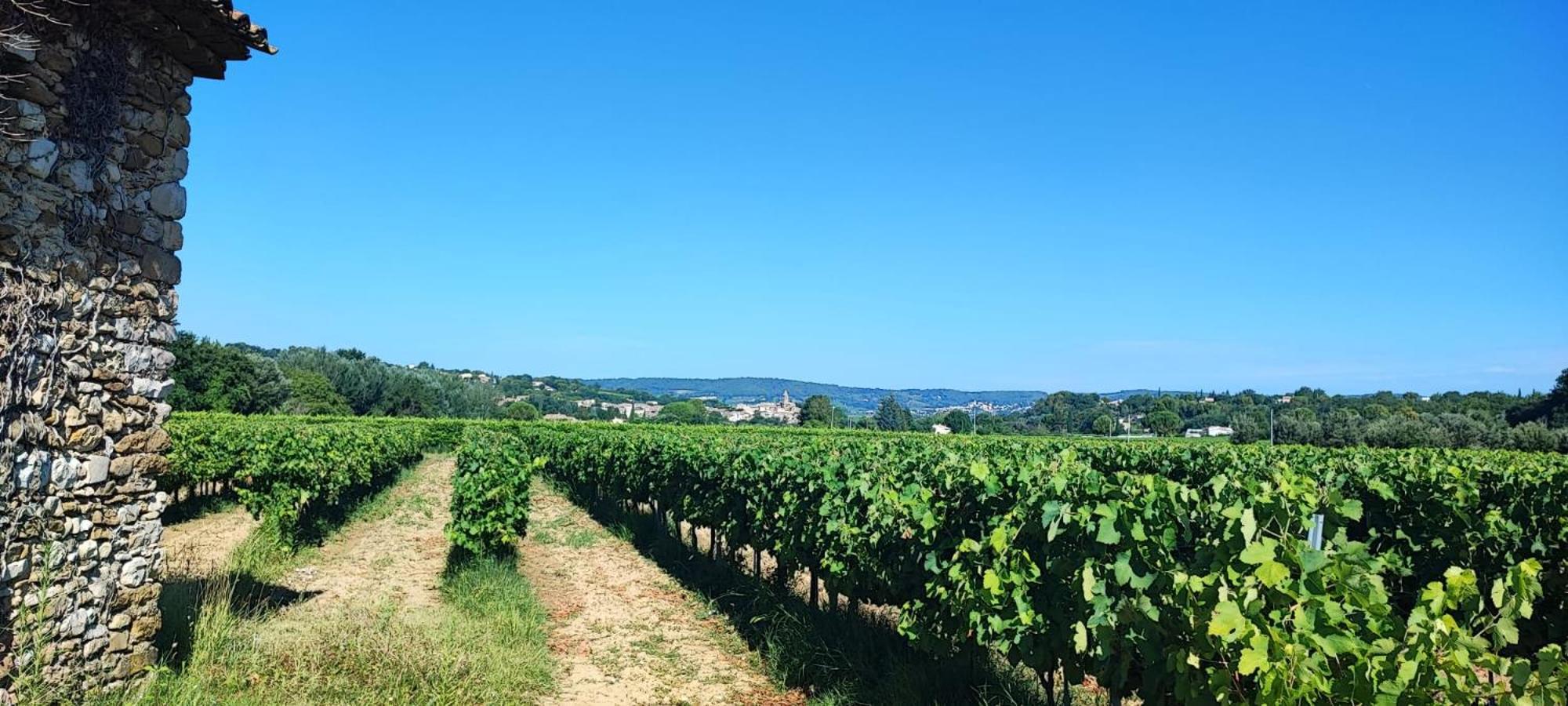 L'Eden Des Baronnies Villa Mirabel-aux-Baronnies Ngoại thất bức ảnh
