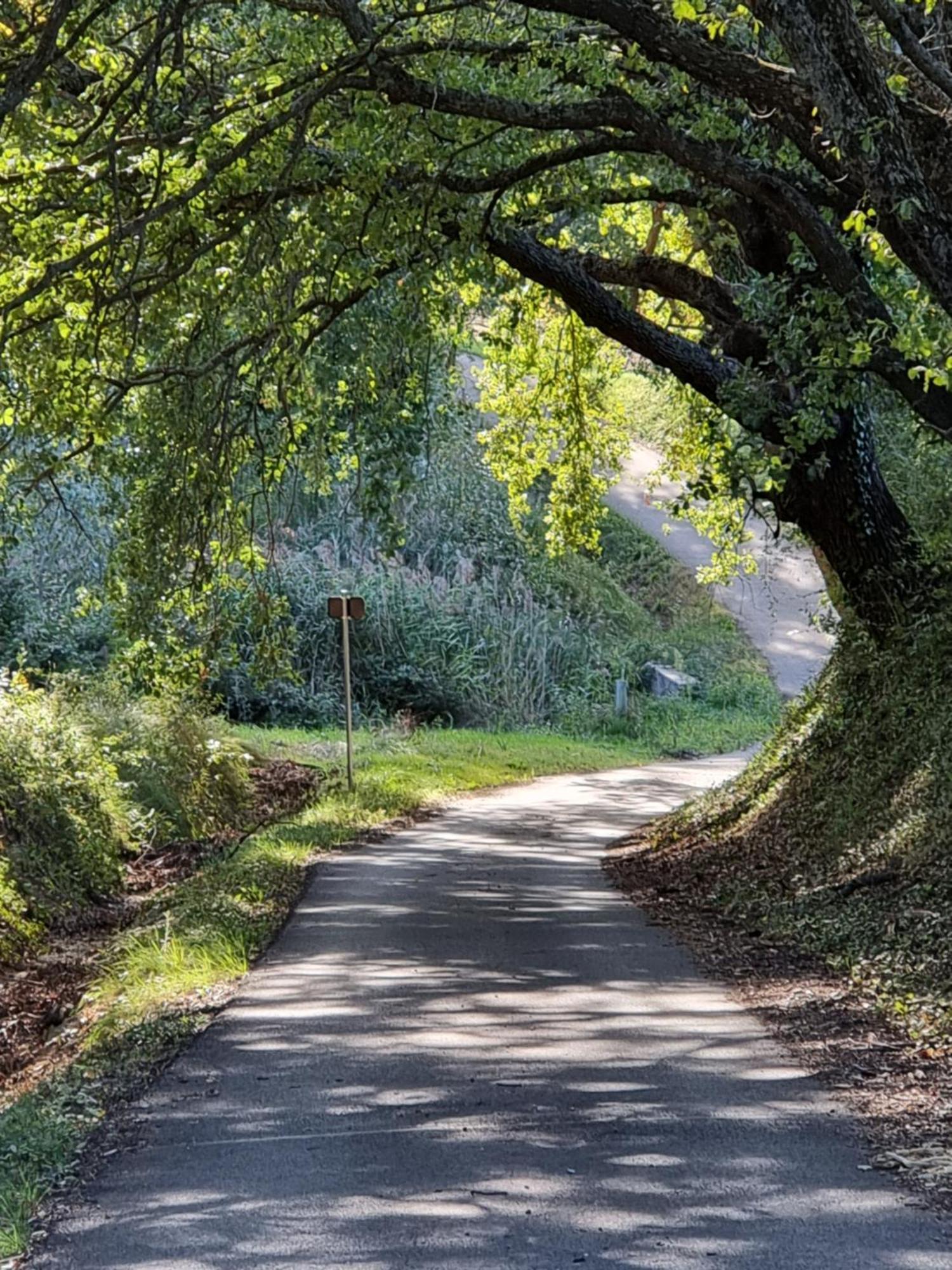 L'Eden Des Baronnies Villa Mirabel-aux-Baronnies Ngoại thất bức ảnh